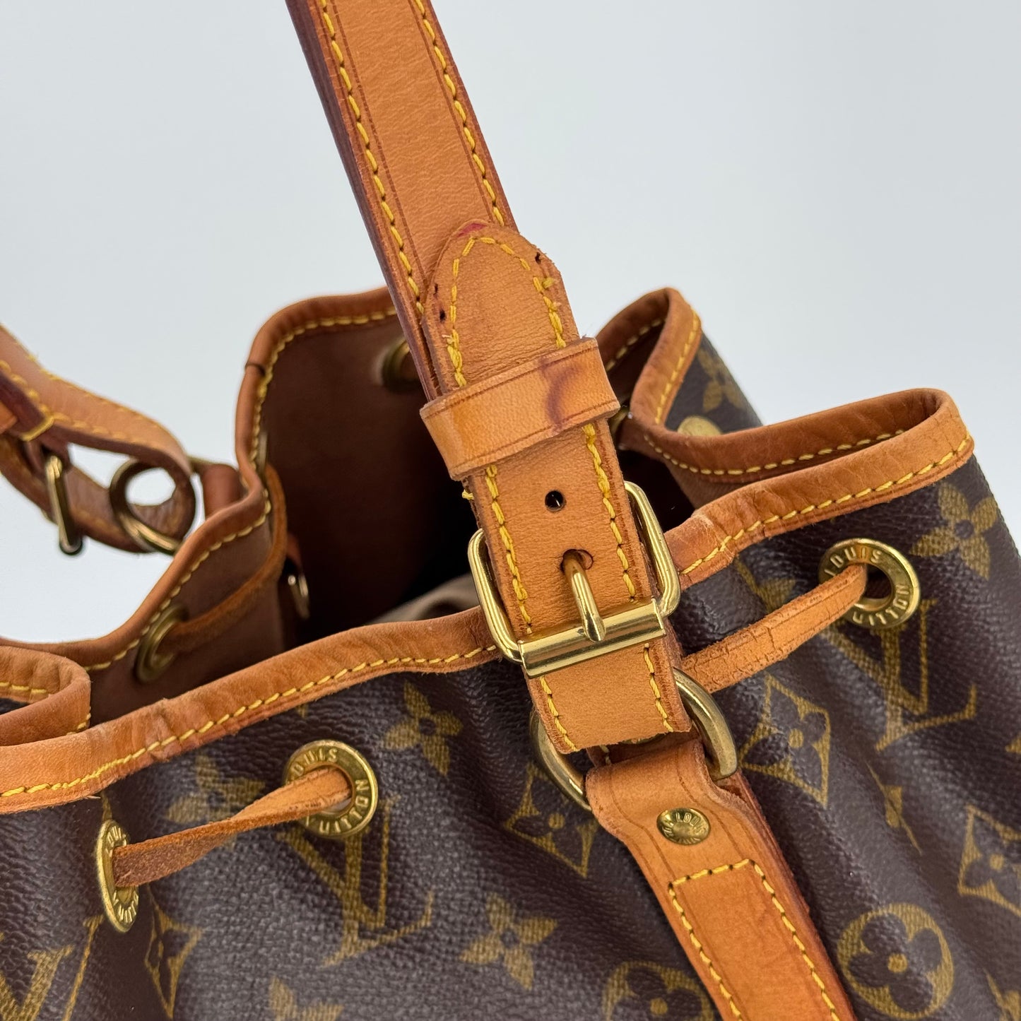 Louis Vuitton Noé PM