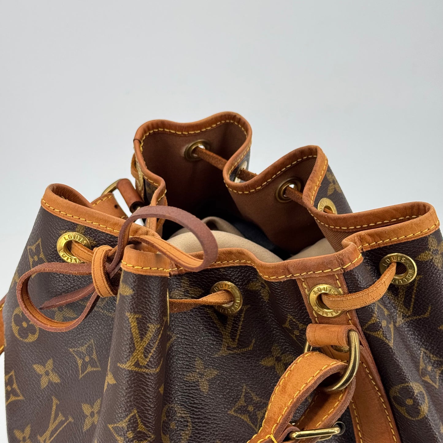 Louis Vuitton Noé PM