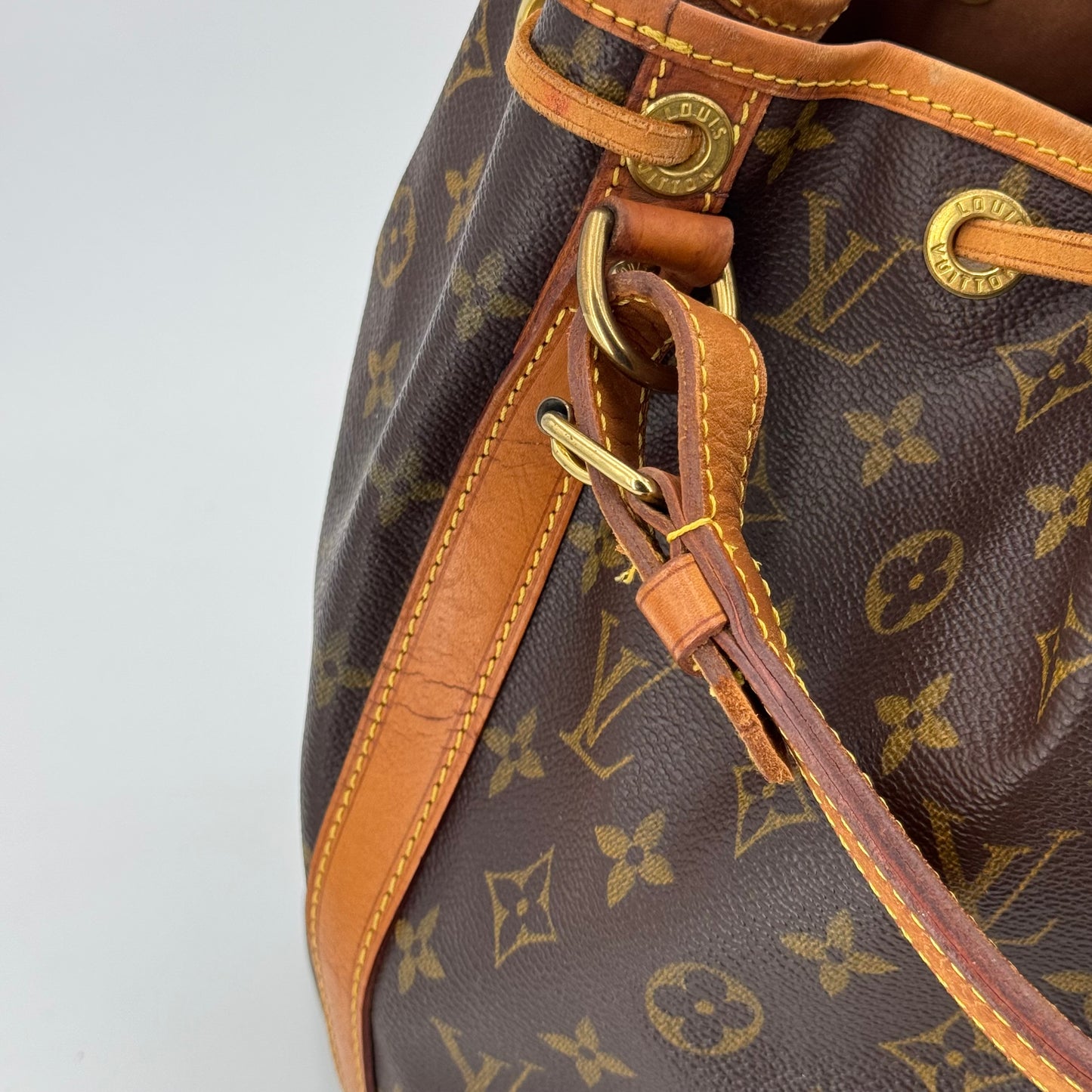 Louis Vuitton Noé PM