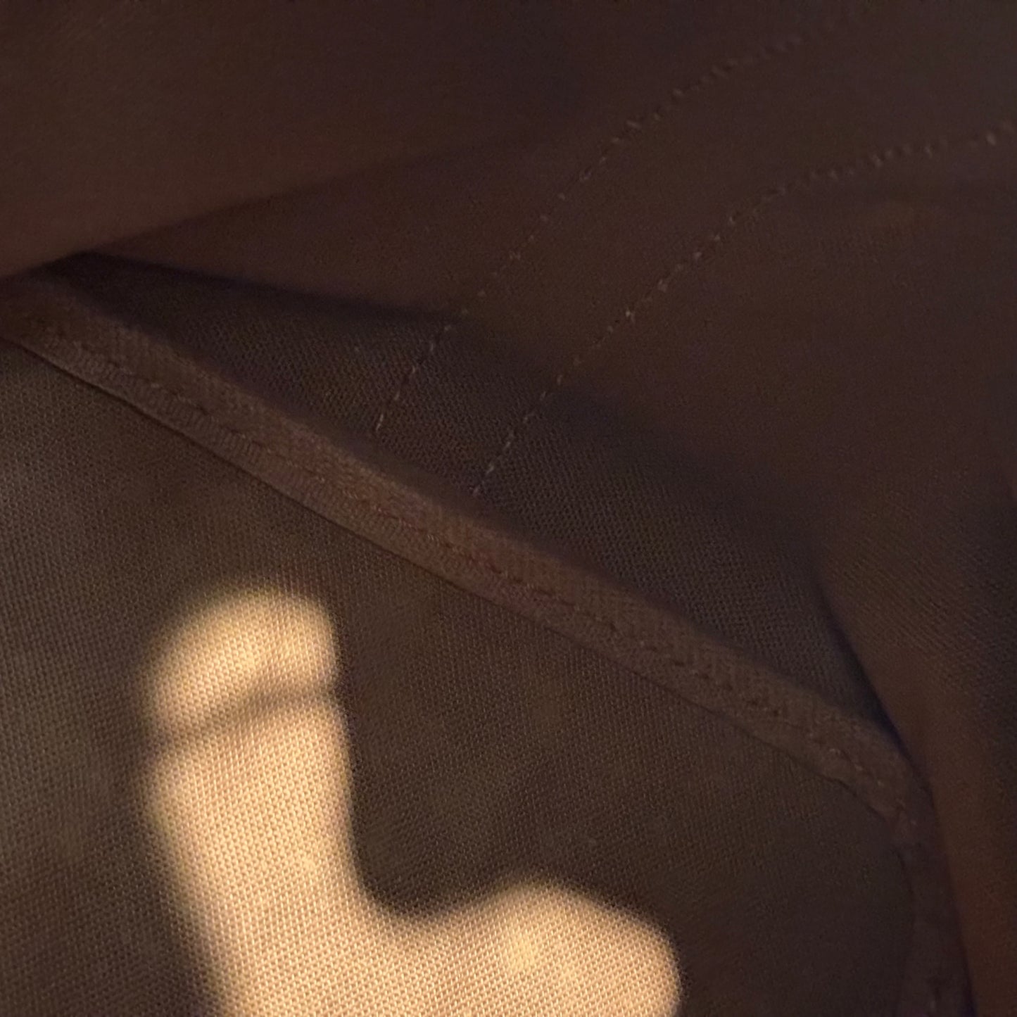 Louis Vuitton Noé Monogram