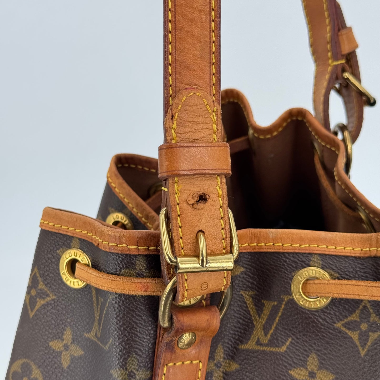 Louis Vuitton Noé PM