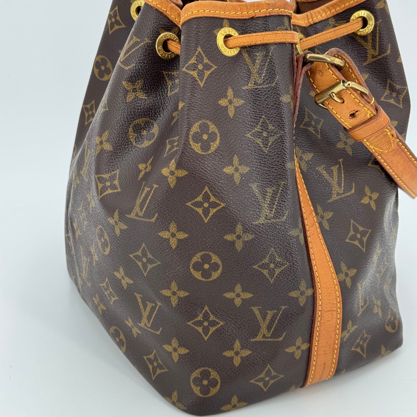 Louis Vuitton Noé PM