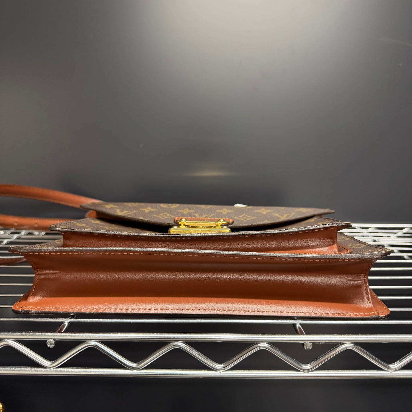 Louis Vuitton Monceau