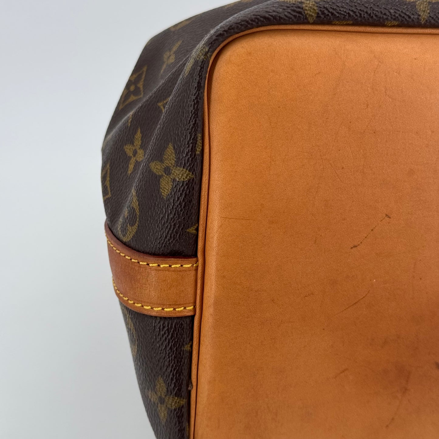 Louis Vuitton Noé PM