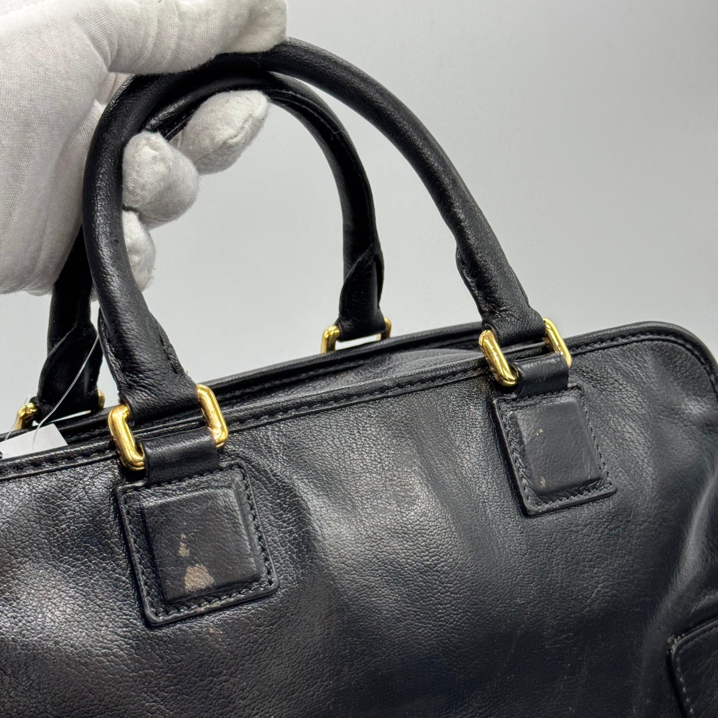 Loewe Amazona