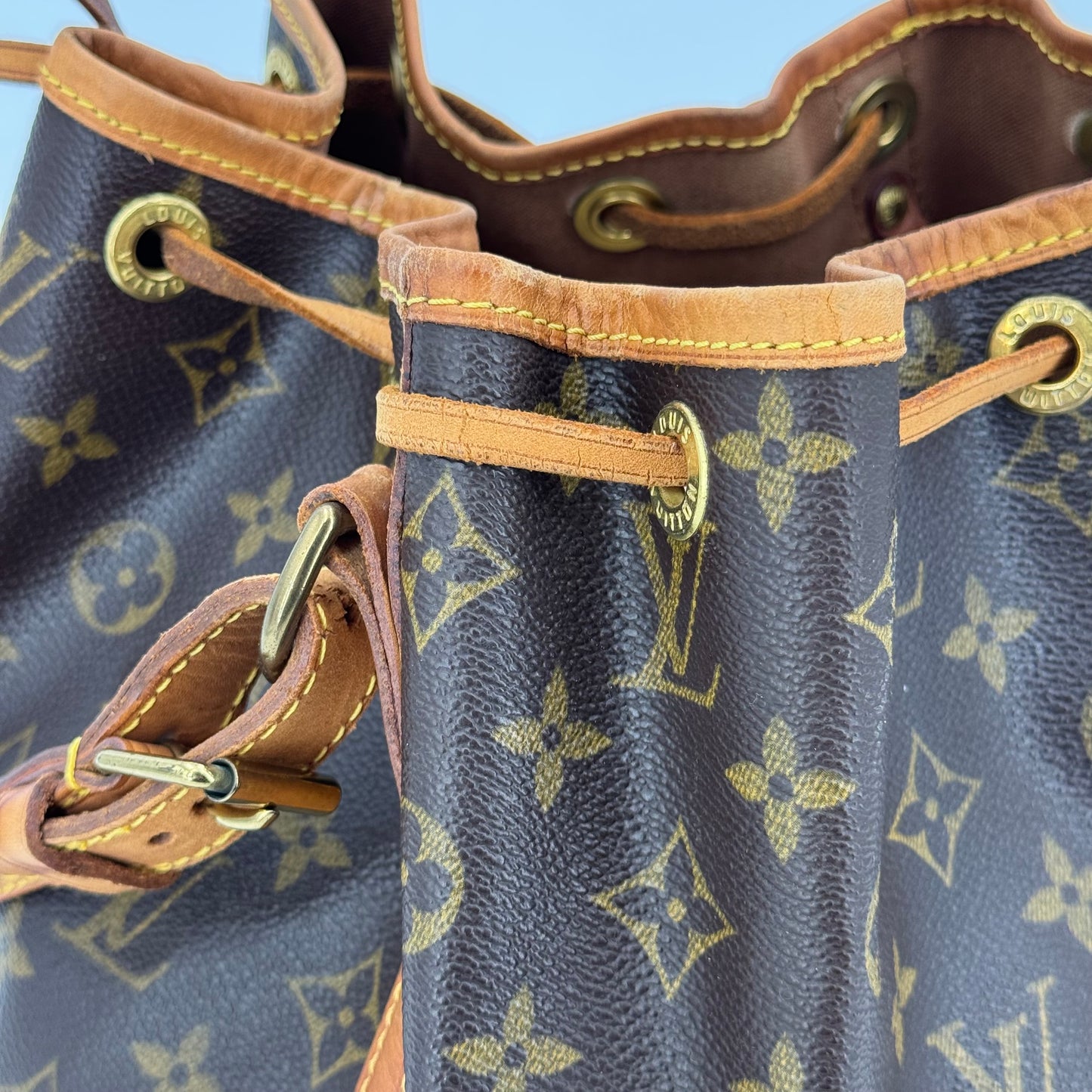 Louis Vuitton Noé PM