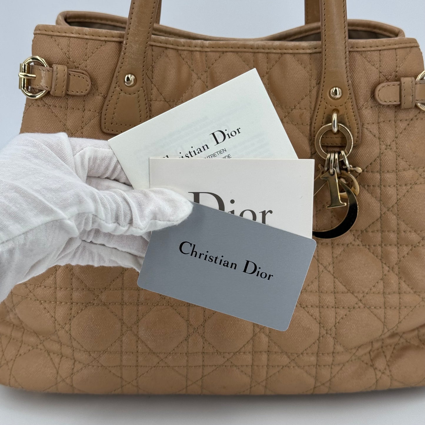 Dior Shopping