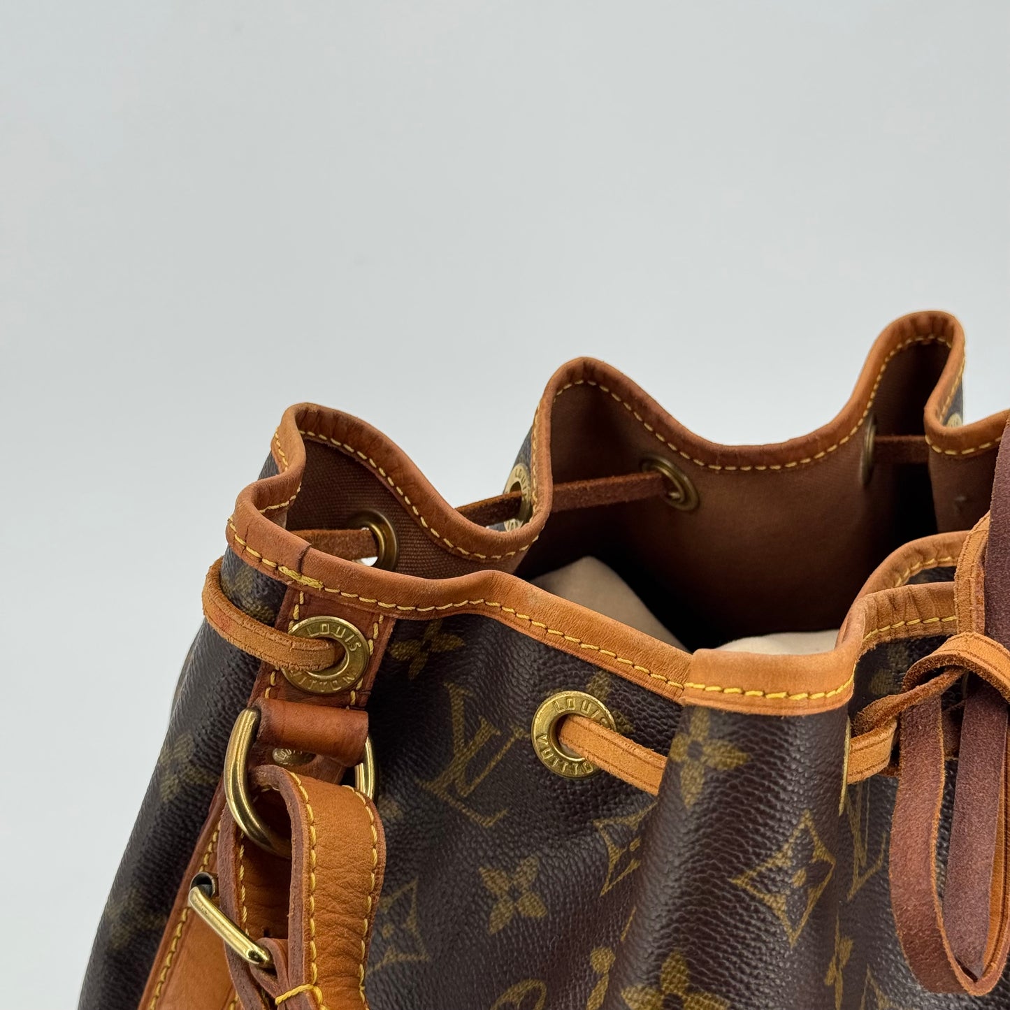 Louis Vuitton Noé PM