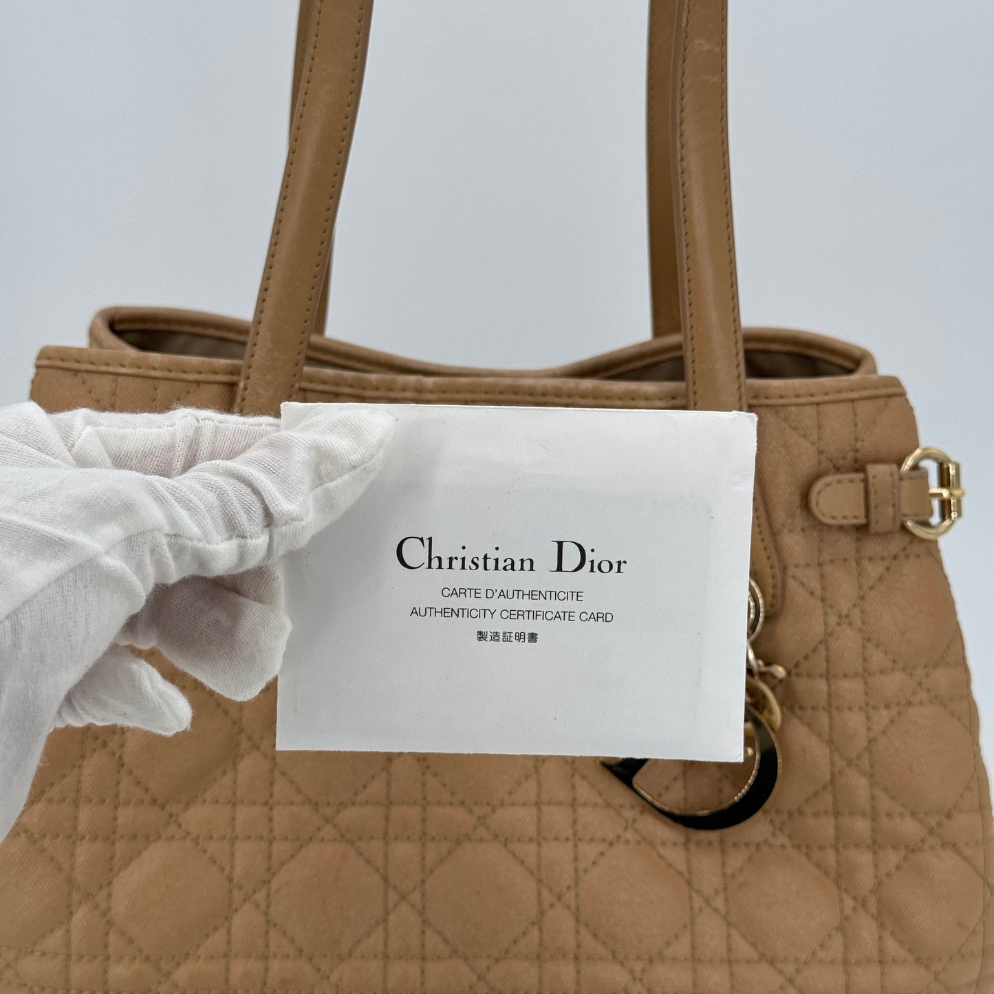 Dior Shopping