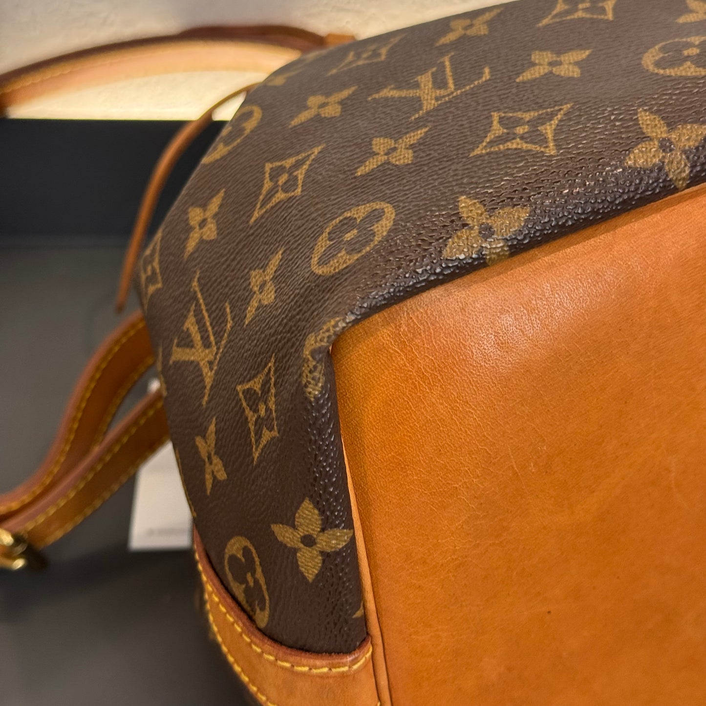 Louis Vuitton Noé Monogram
