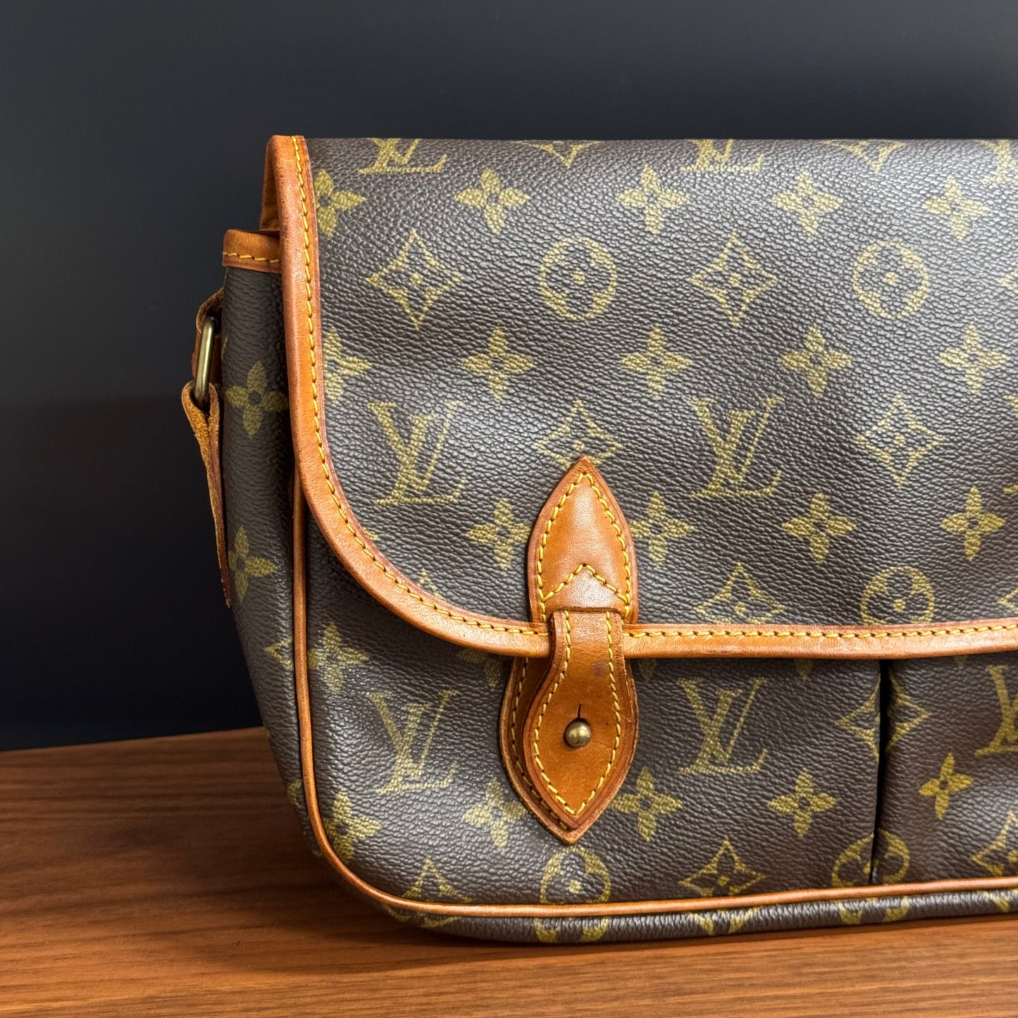 Louis Vuitton Gibecière