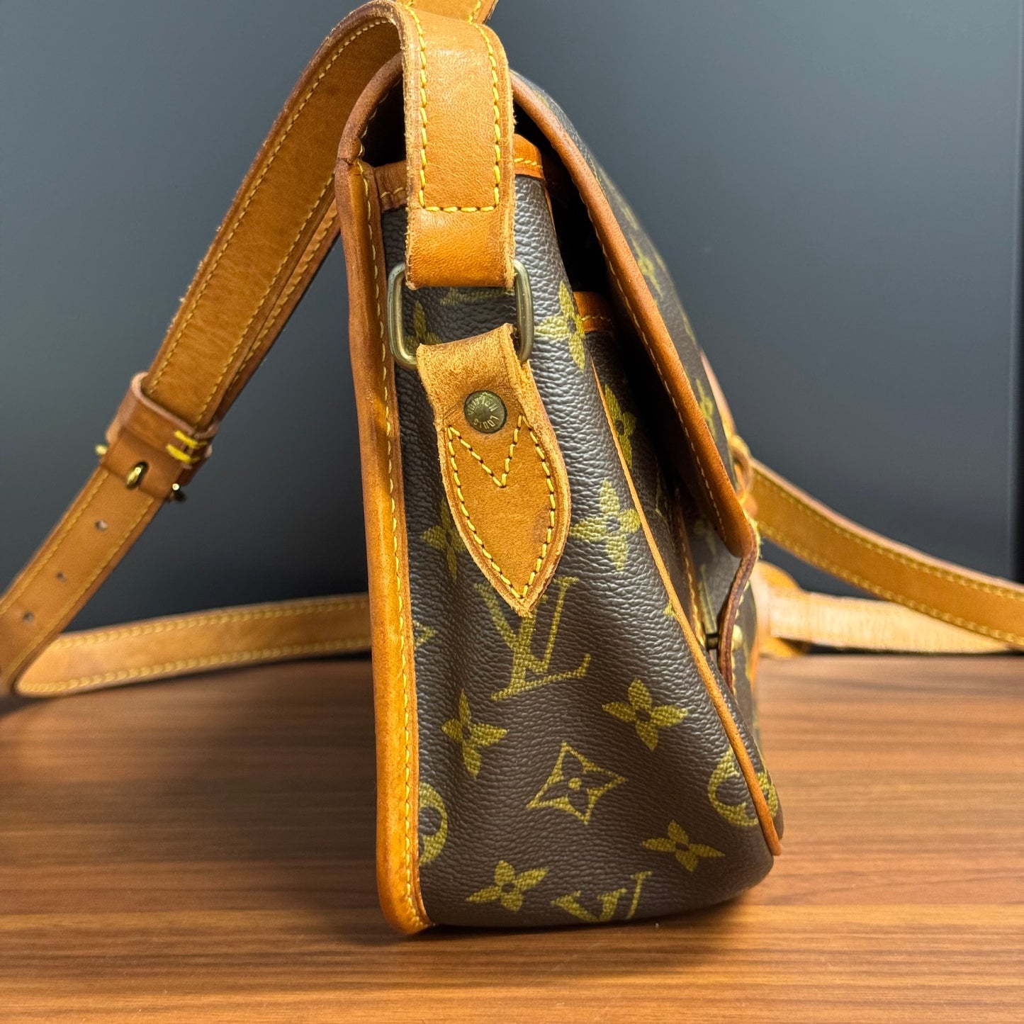 Louis Vuitton Gibecière