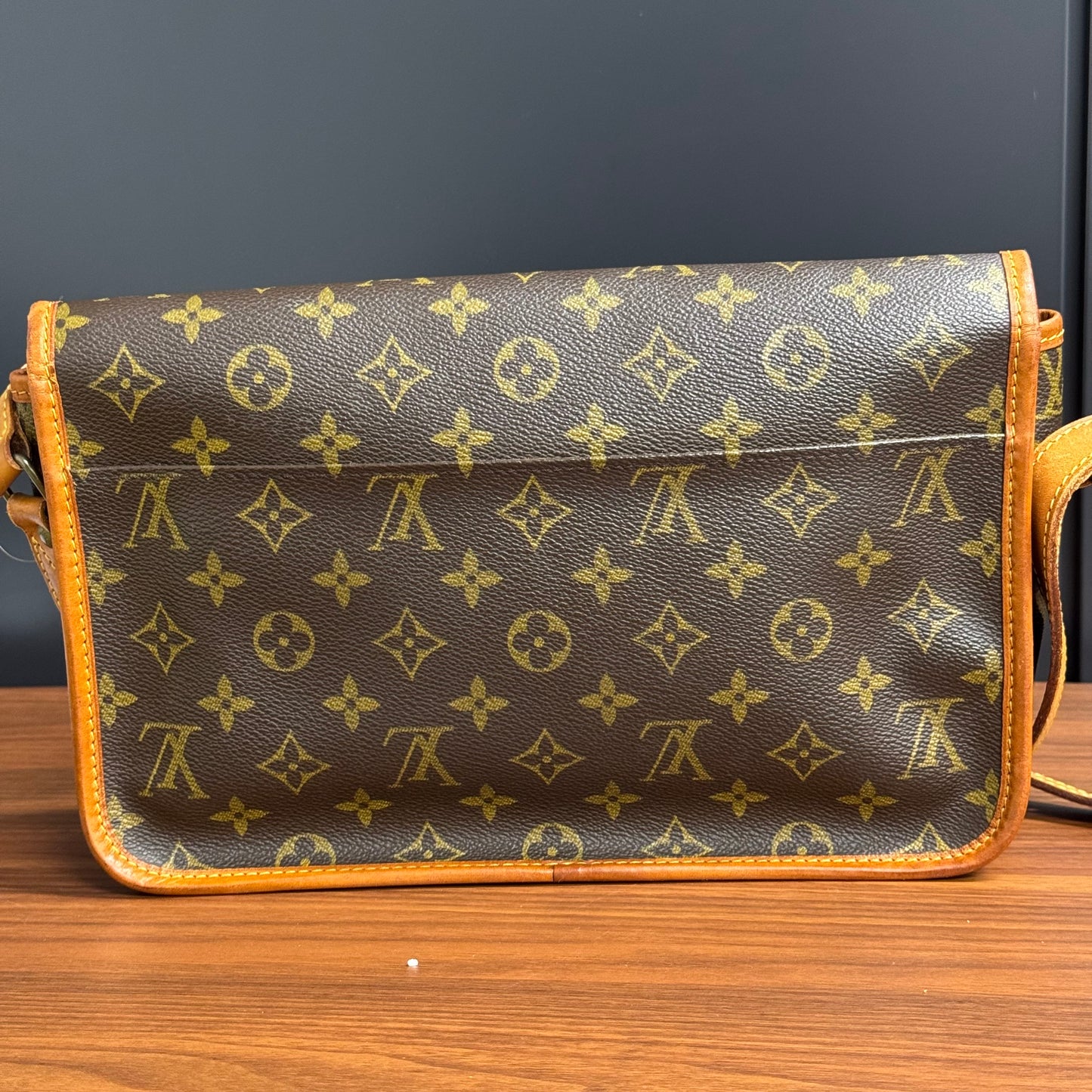 Louis Vuitton Gibecière
