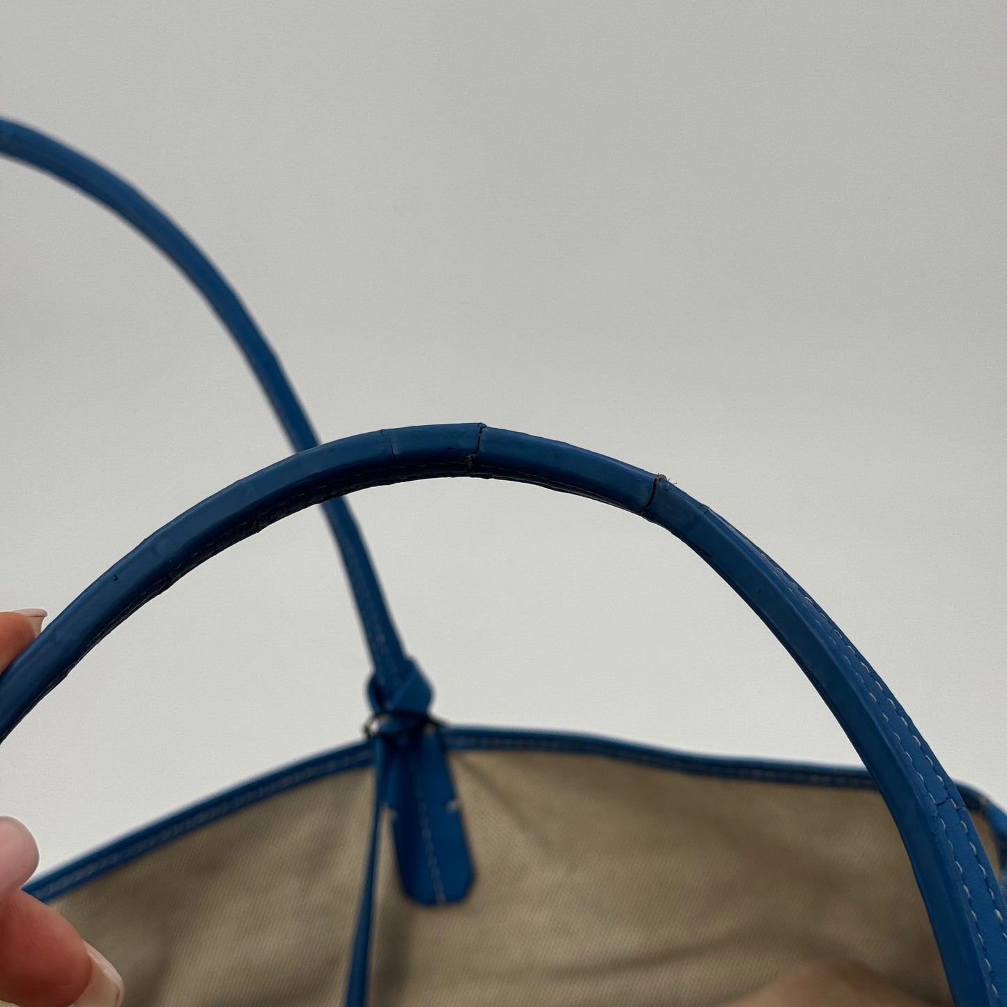 GOYARD Saint Louis PM