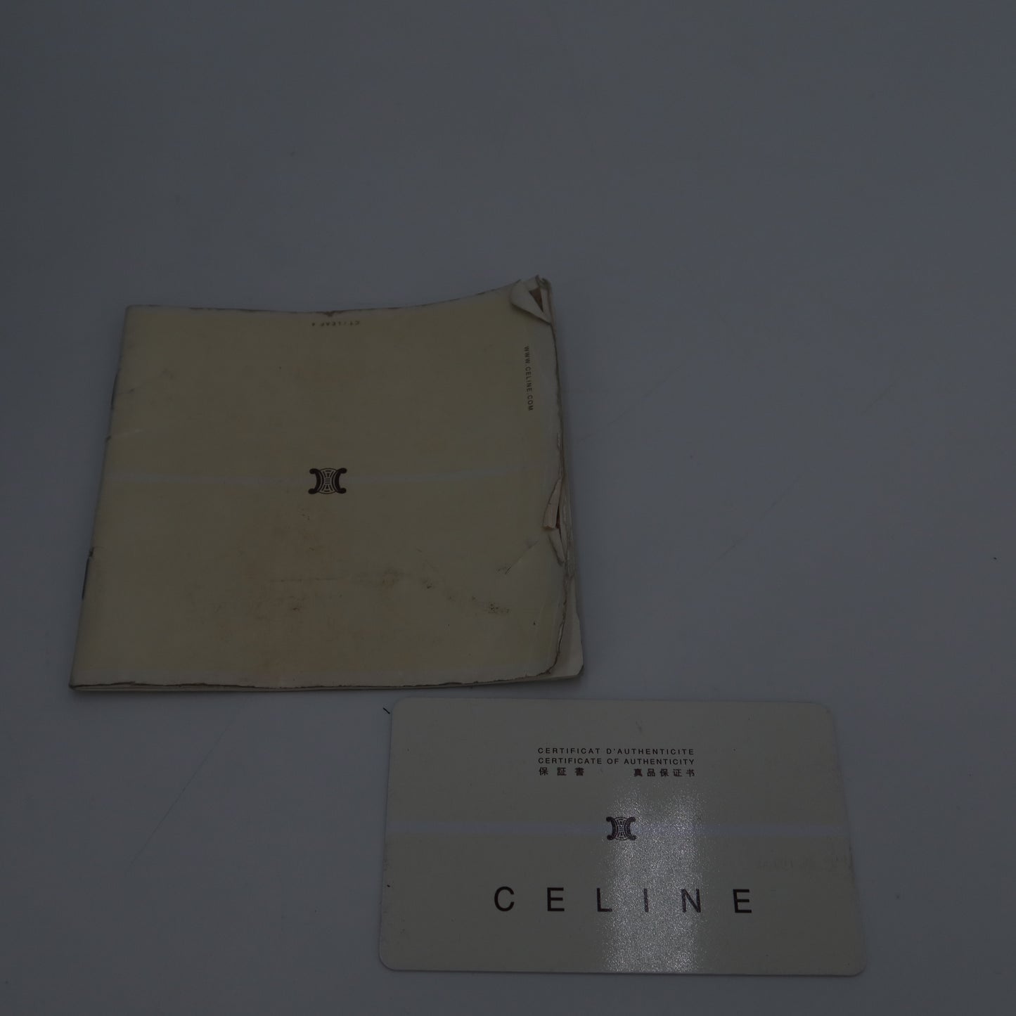 Celine Boston veau velours