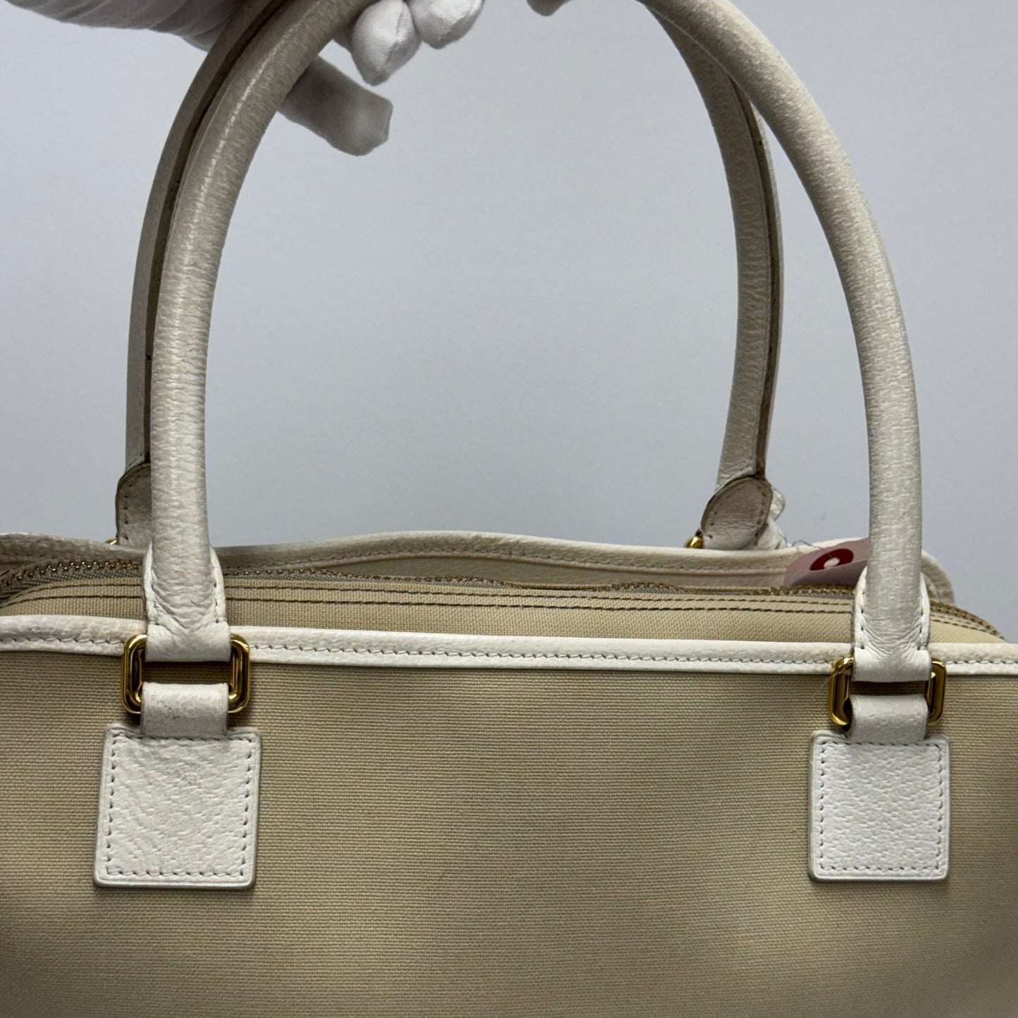 Loewe Amazona