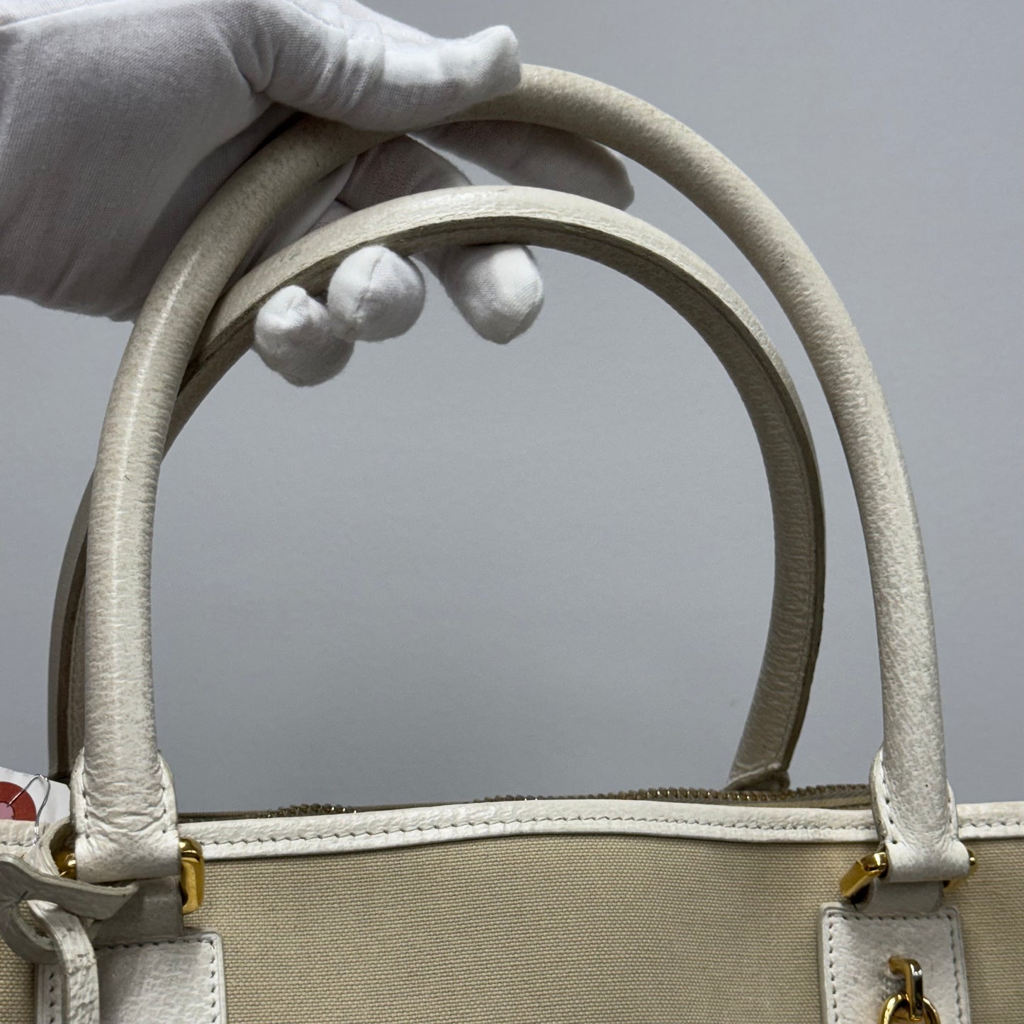 Loewe Amazona