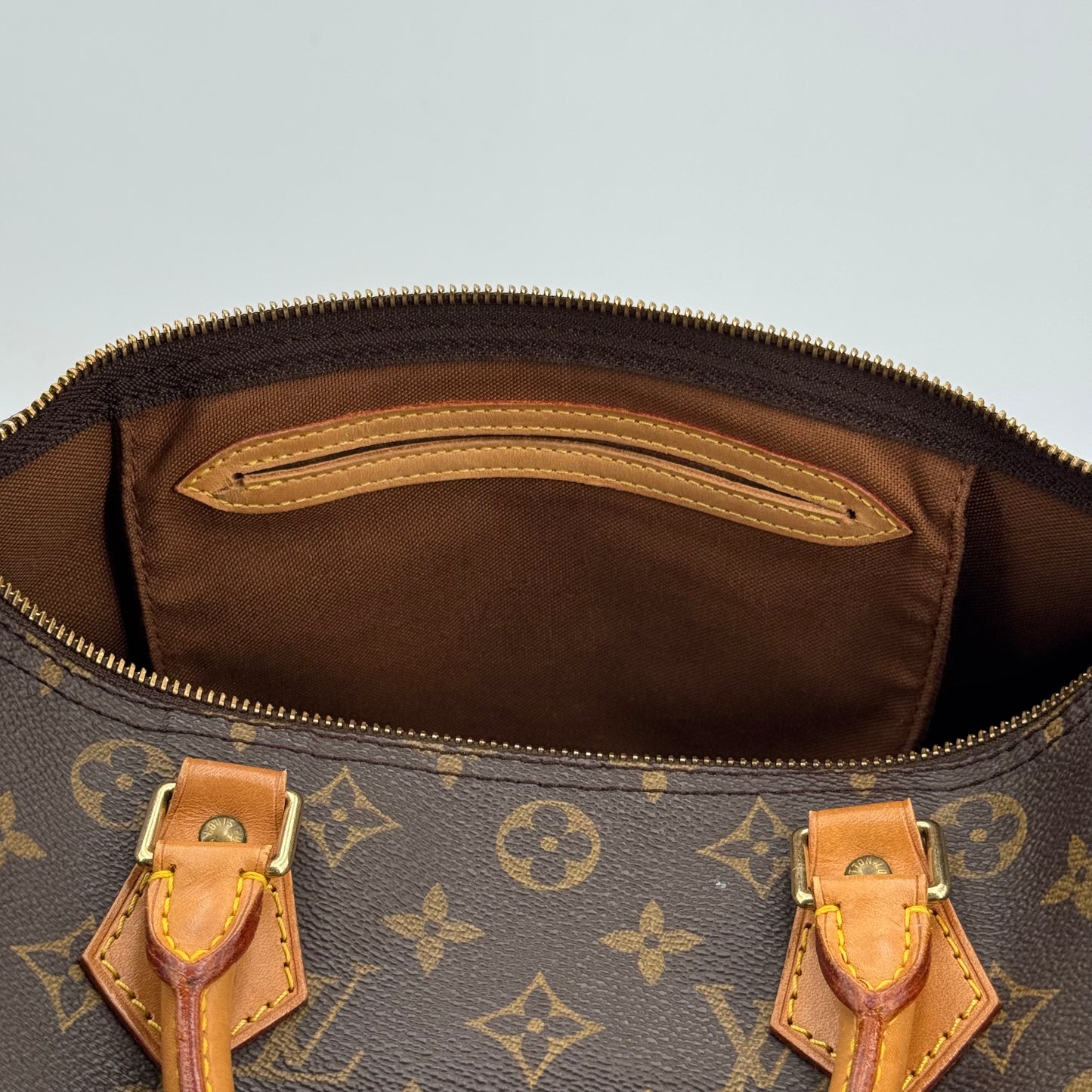 Louis Vuitton speedy 30 monogram