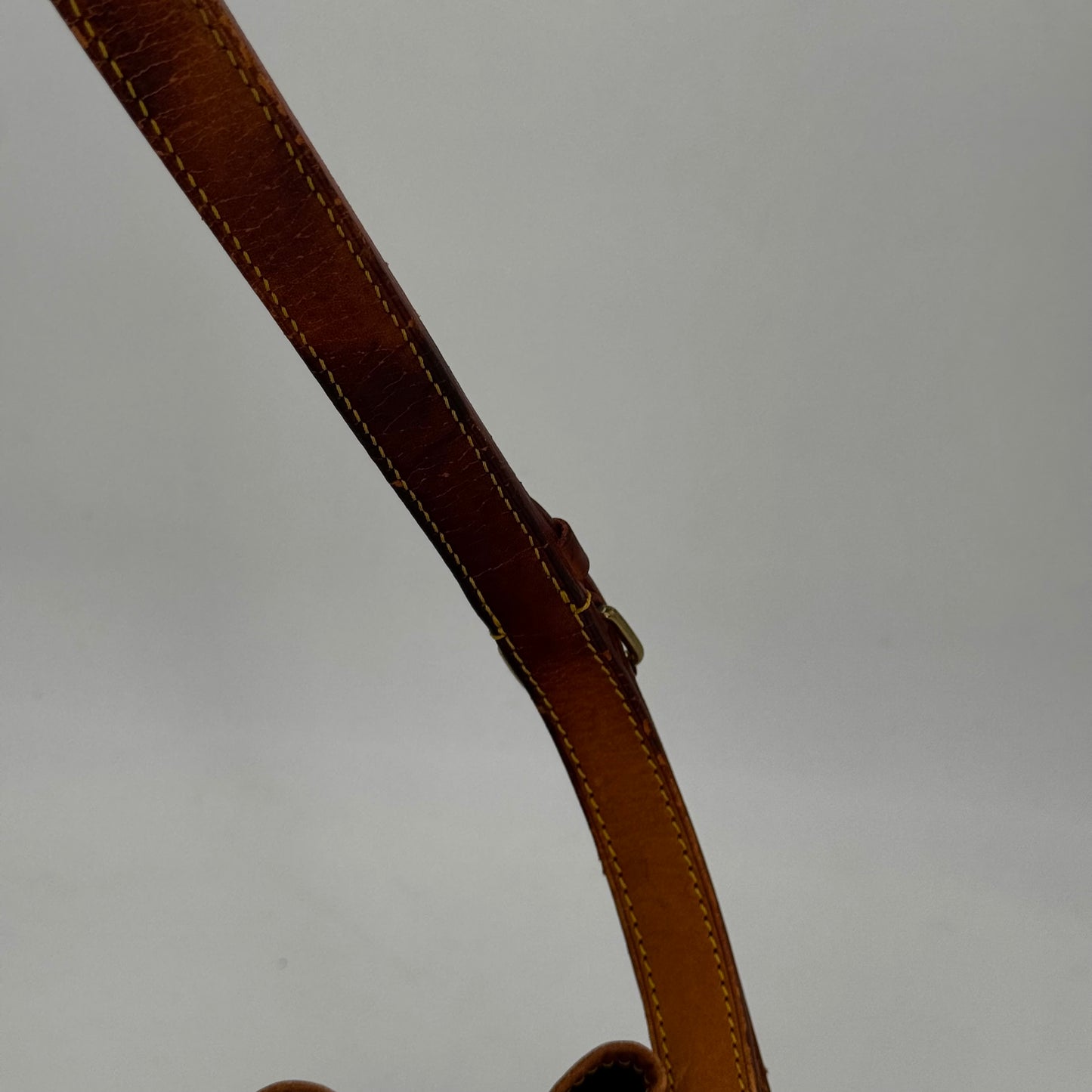 Louis Vuitton Noé PM