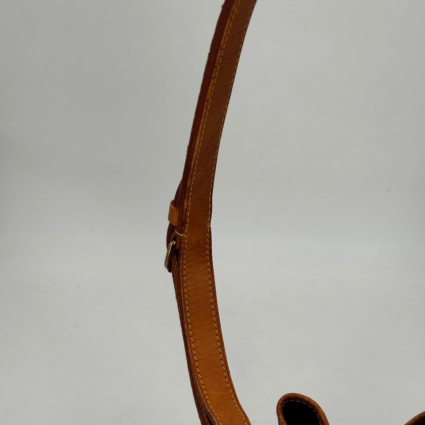 Louis Vuitton Noé PM