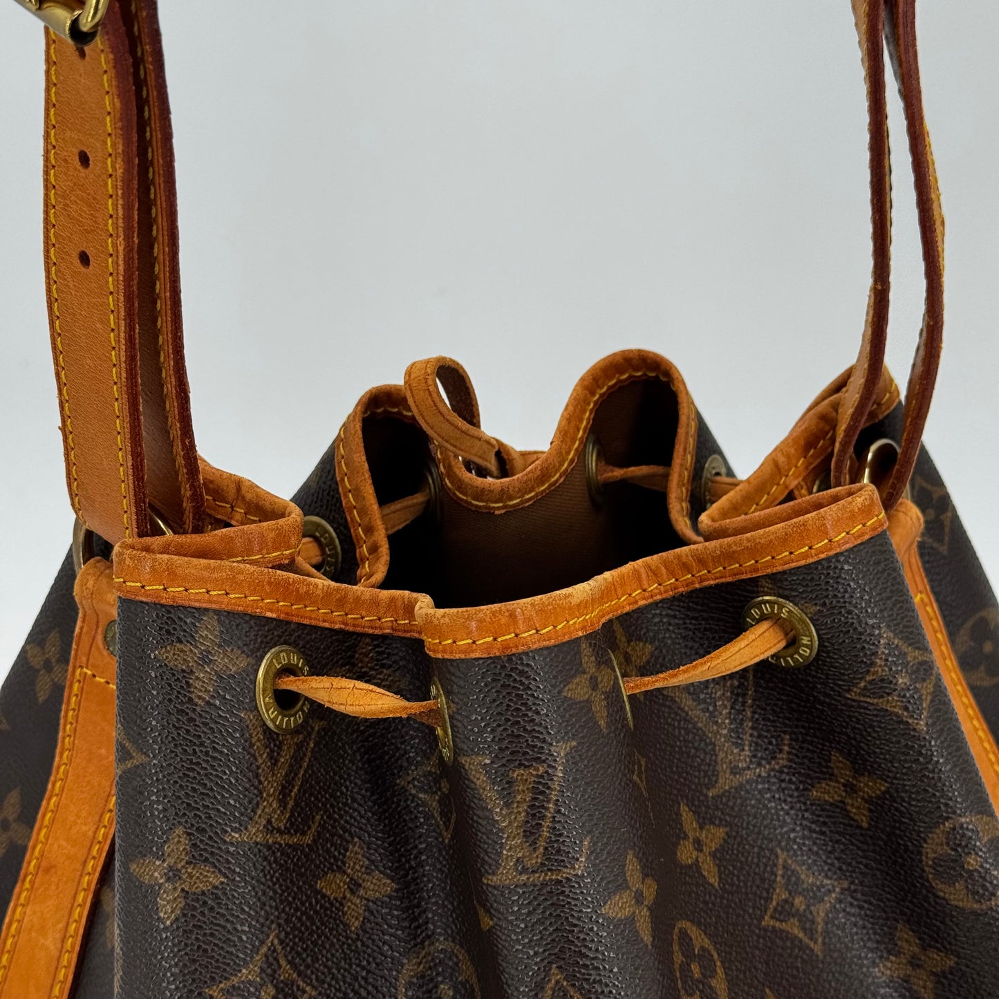 Louis Vuitton Noé PM