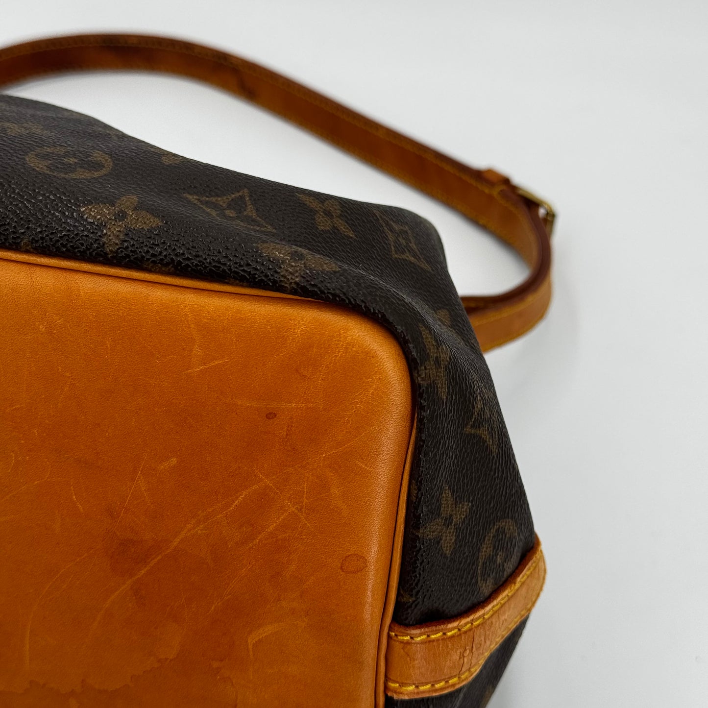 Louis Vuitton Noé PM