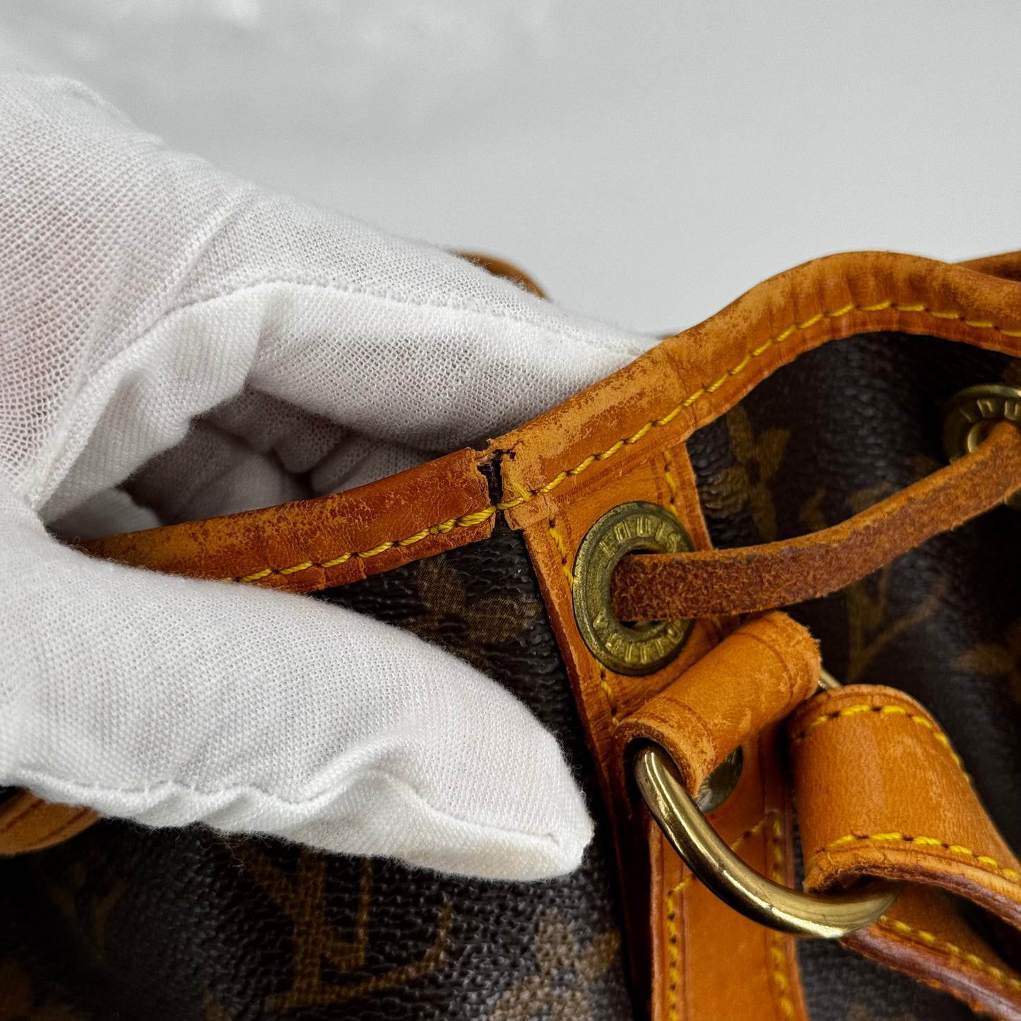 Louis Vuitton Noé PM