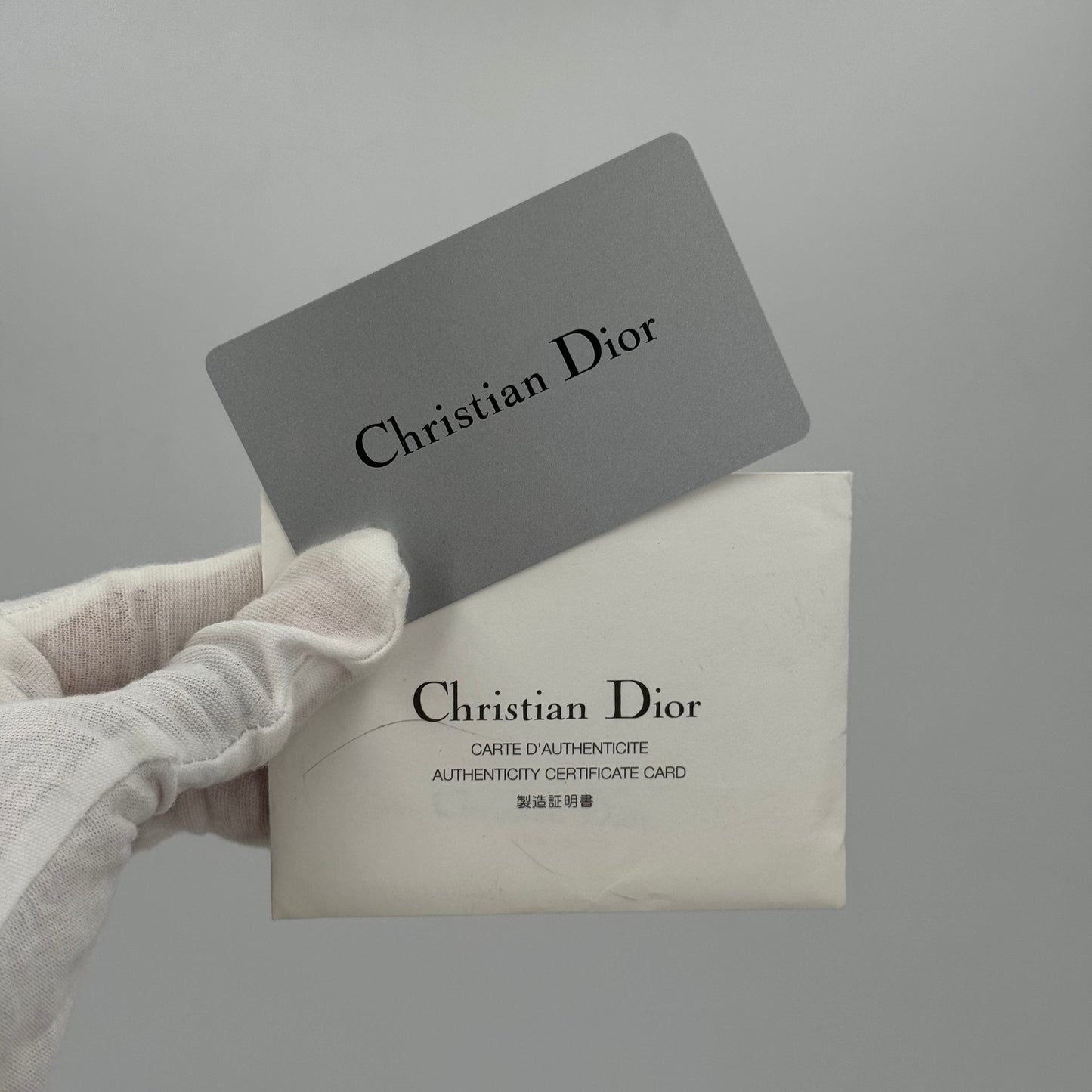 Dior Edition Galliano