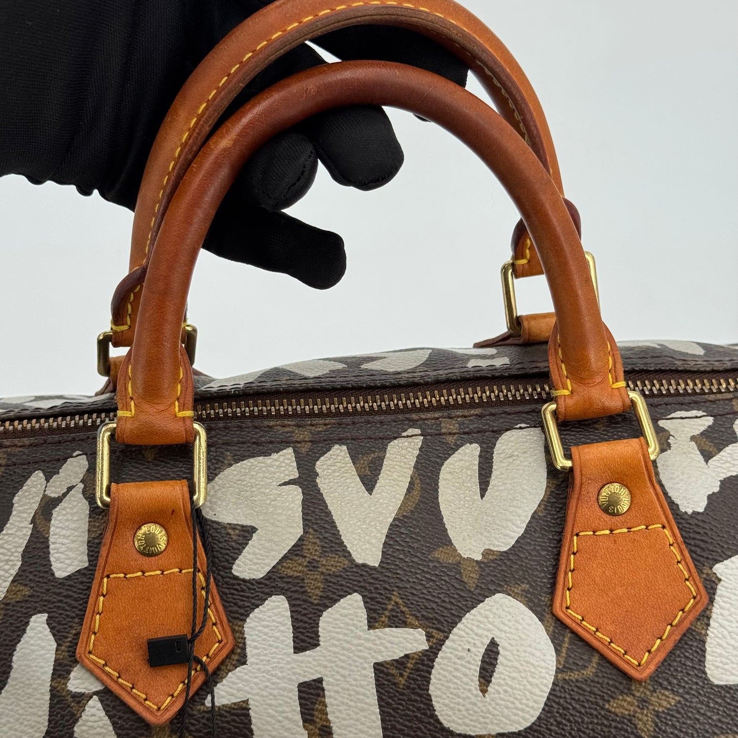Louis Vuitton speedy Graffiti