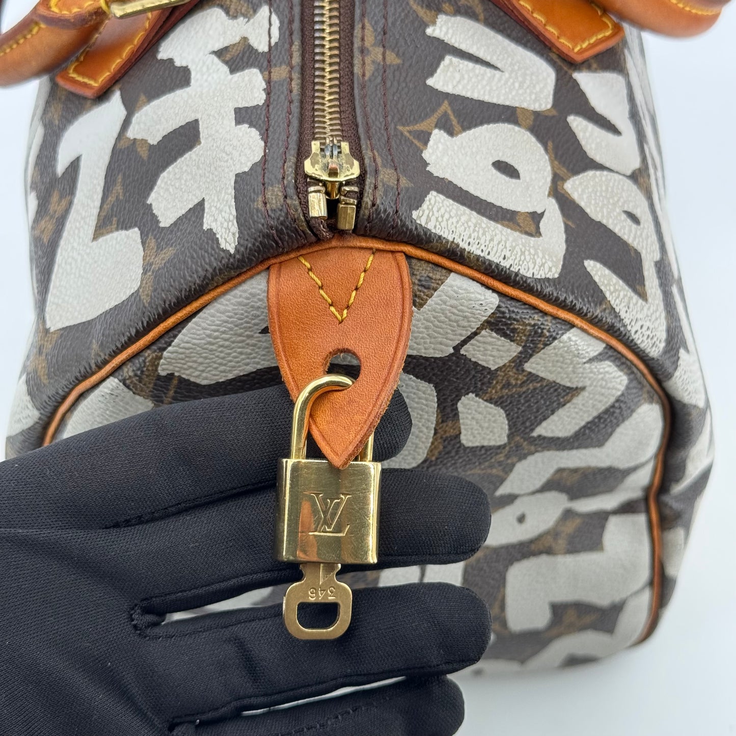 Louis Vuitton speedy Graffiti