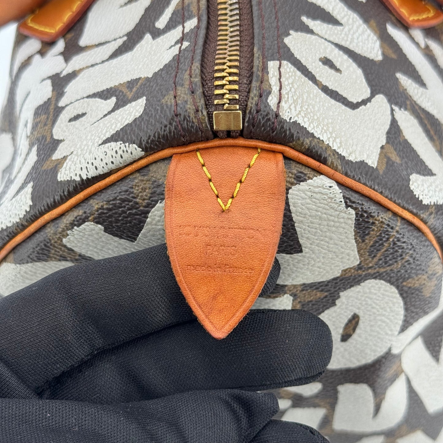 Louis Vuitton speedy Graffiti