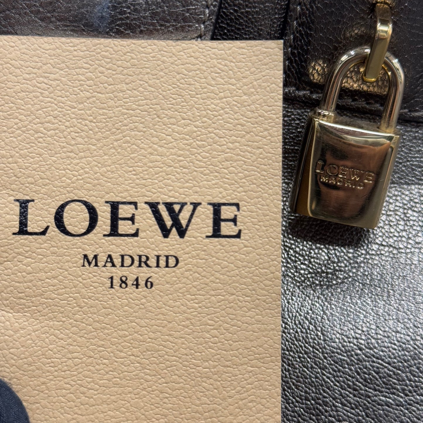 Loewe Amazona