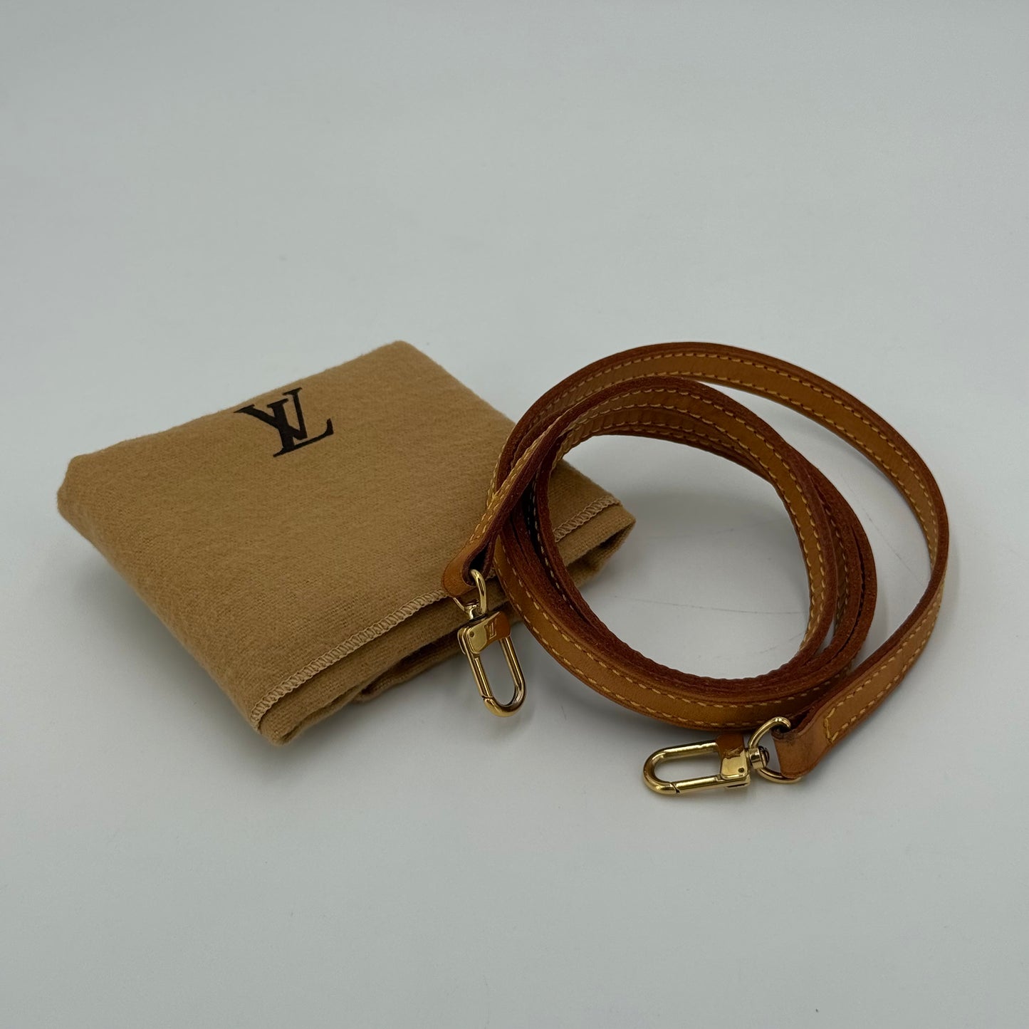Louis Vuitton Pochette accessoire