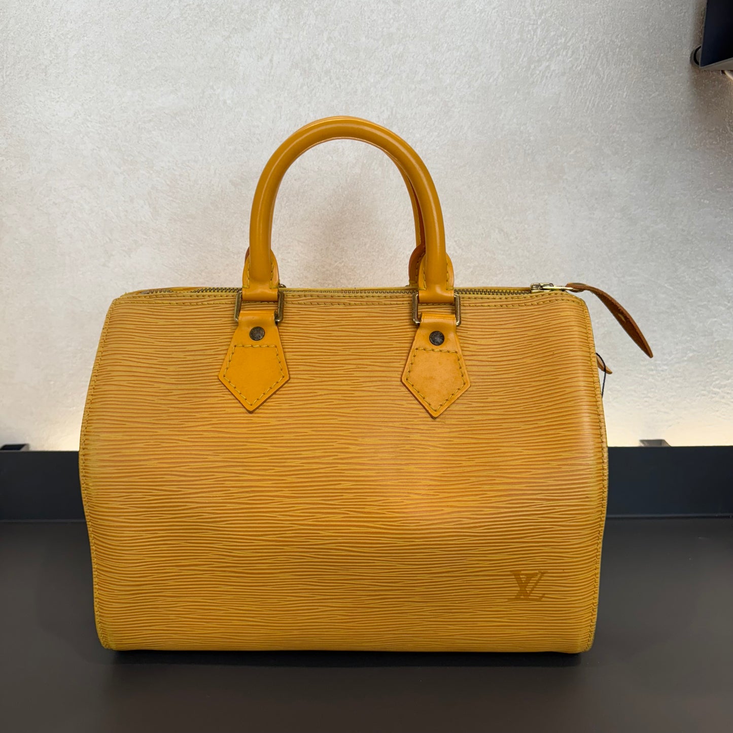 Louis Vuitton Speedy Épi