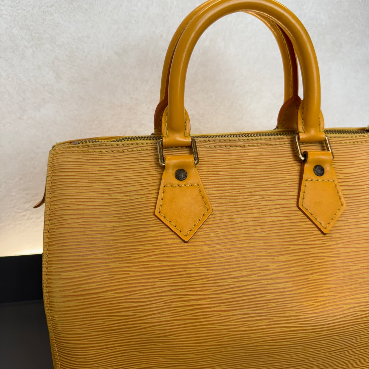Louis Vuitton Speedy Épi