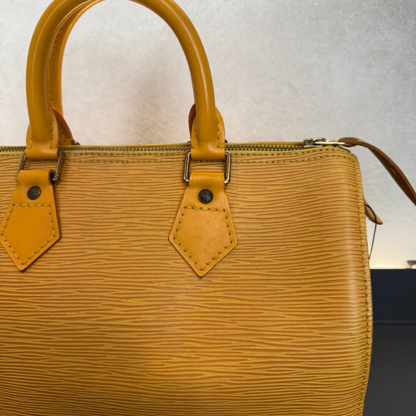 Louis Vuitton Speedy Épi