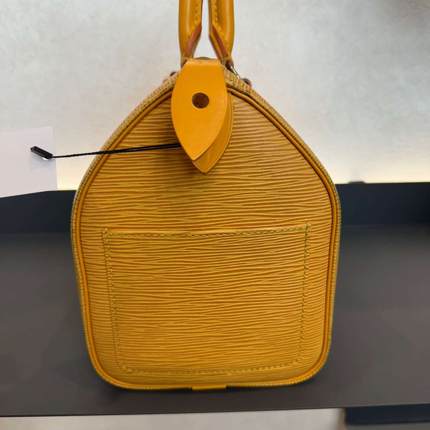 Louis Vuitton Speedy Épi
