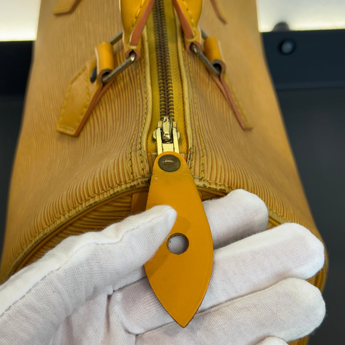 Louis Vuitton Speedy Épi