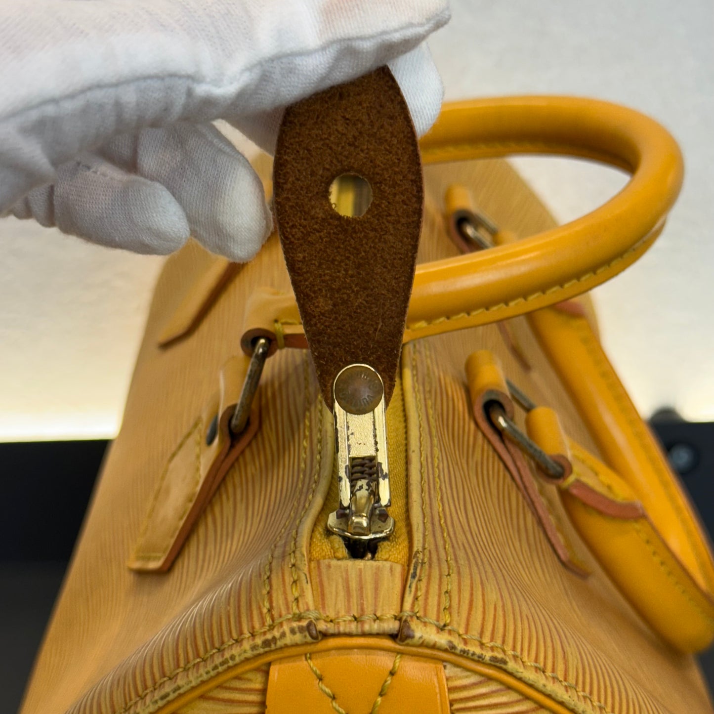 Louis Vuitton Speedy Épi