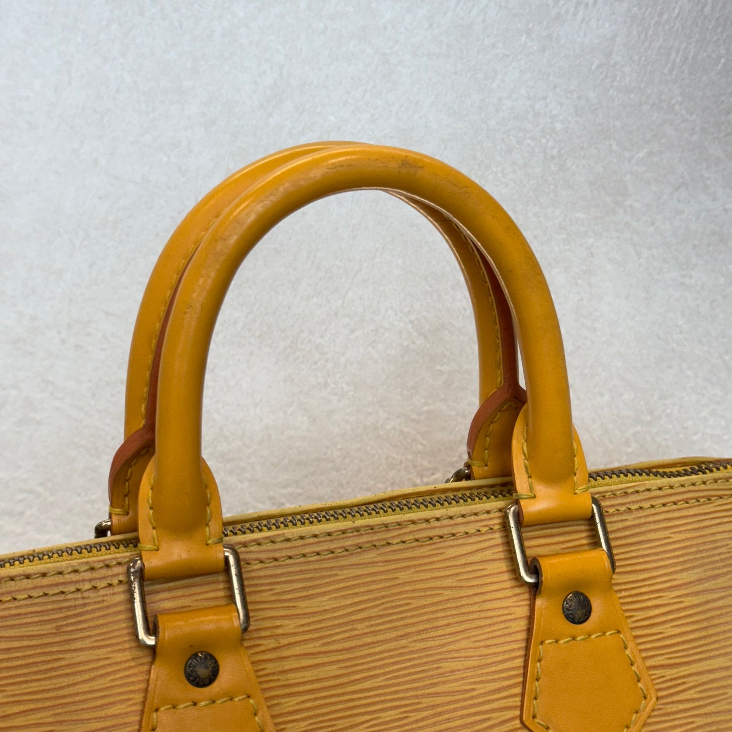 Louis Vuitton Speedy Épi