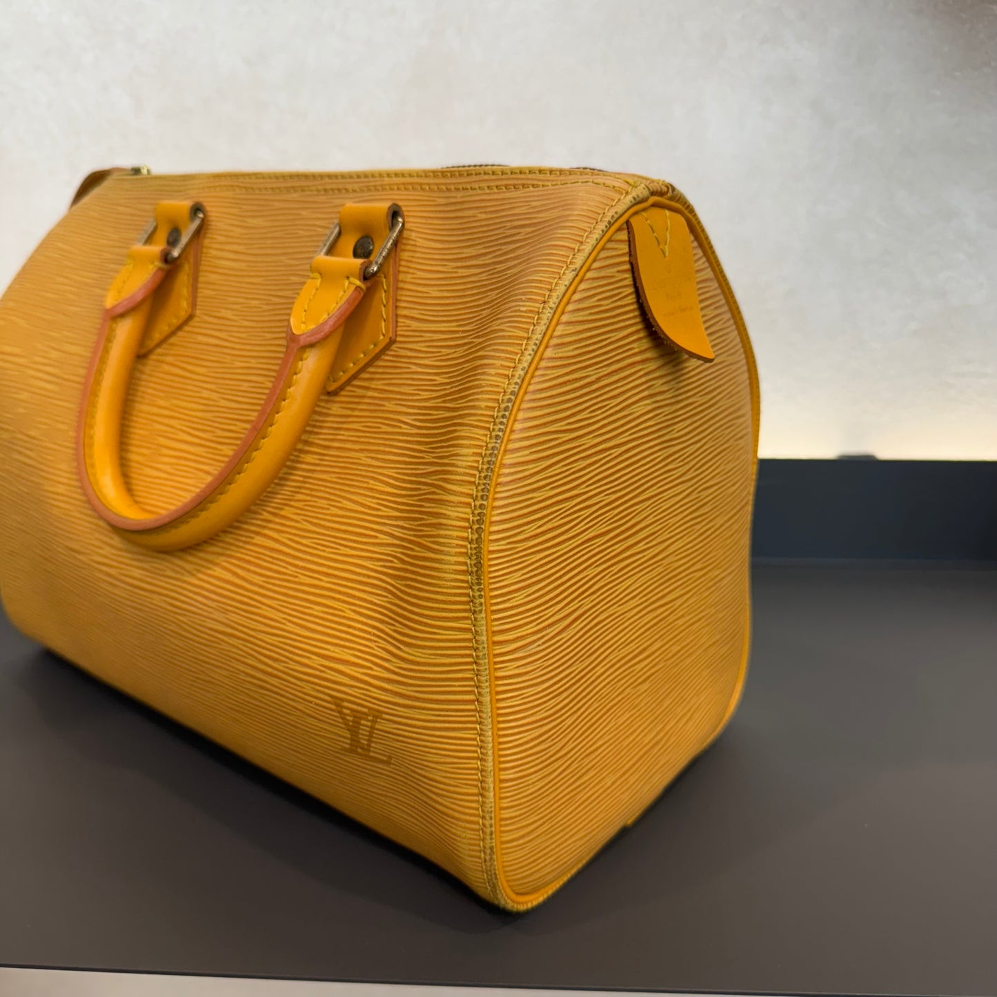 Louis Vuitton Speedy Épi
