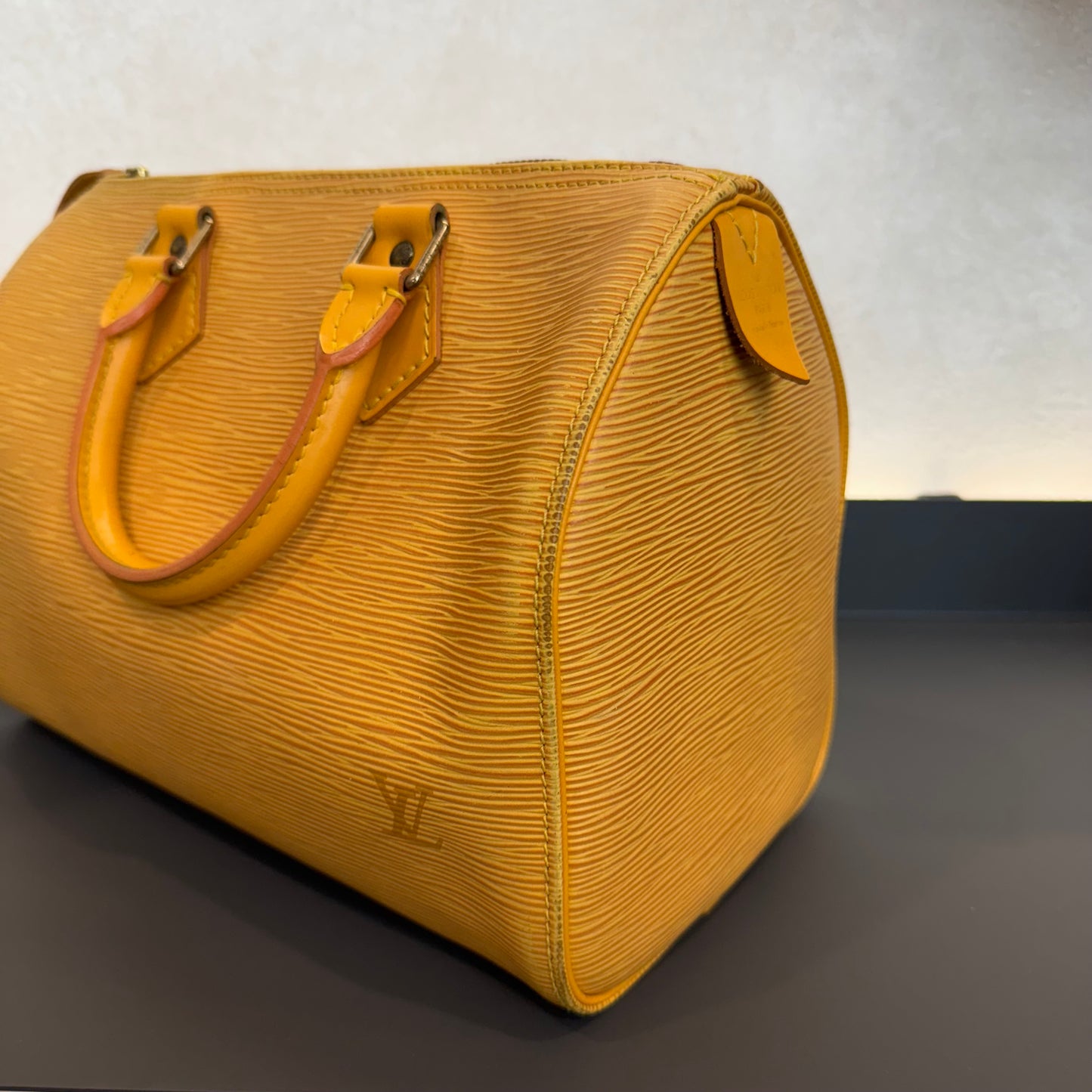 Louis Vuitton Speedy Épi