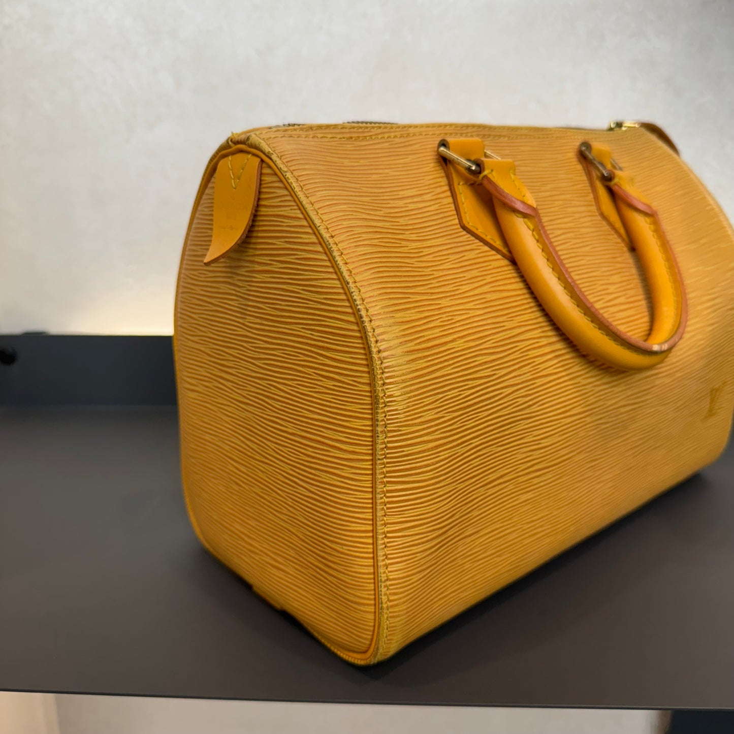 Louis Vuitton Speedy Épi