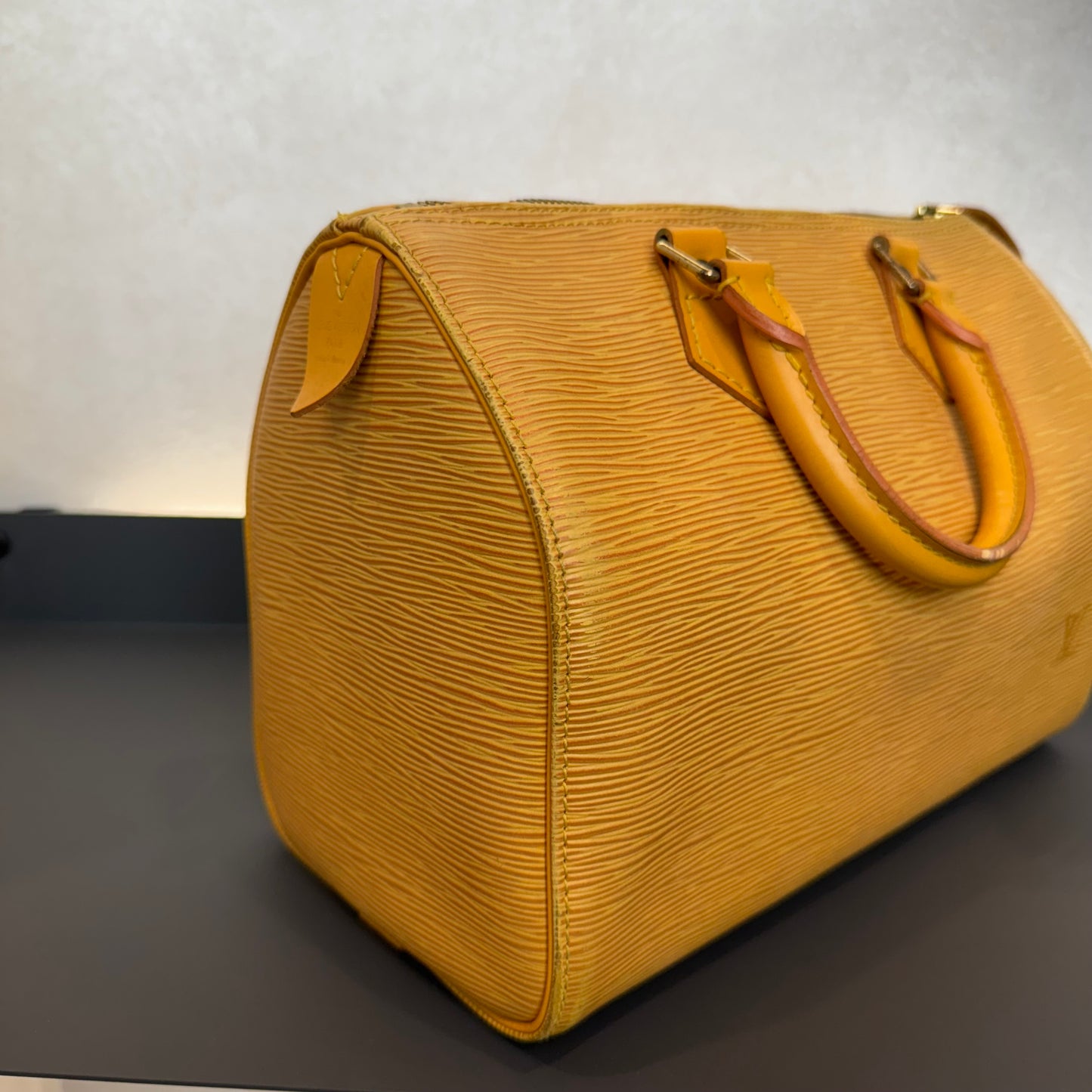 Louis Vuitton Speedy Épi