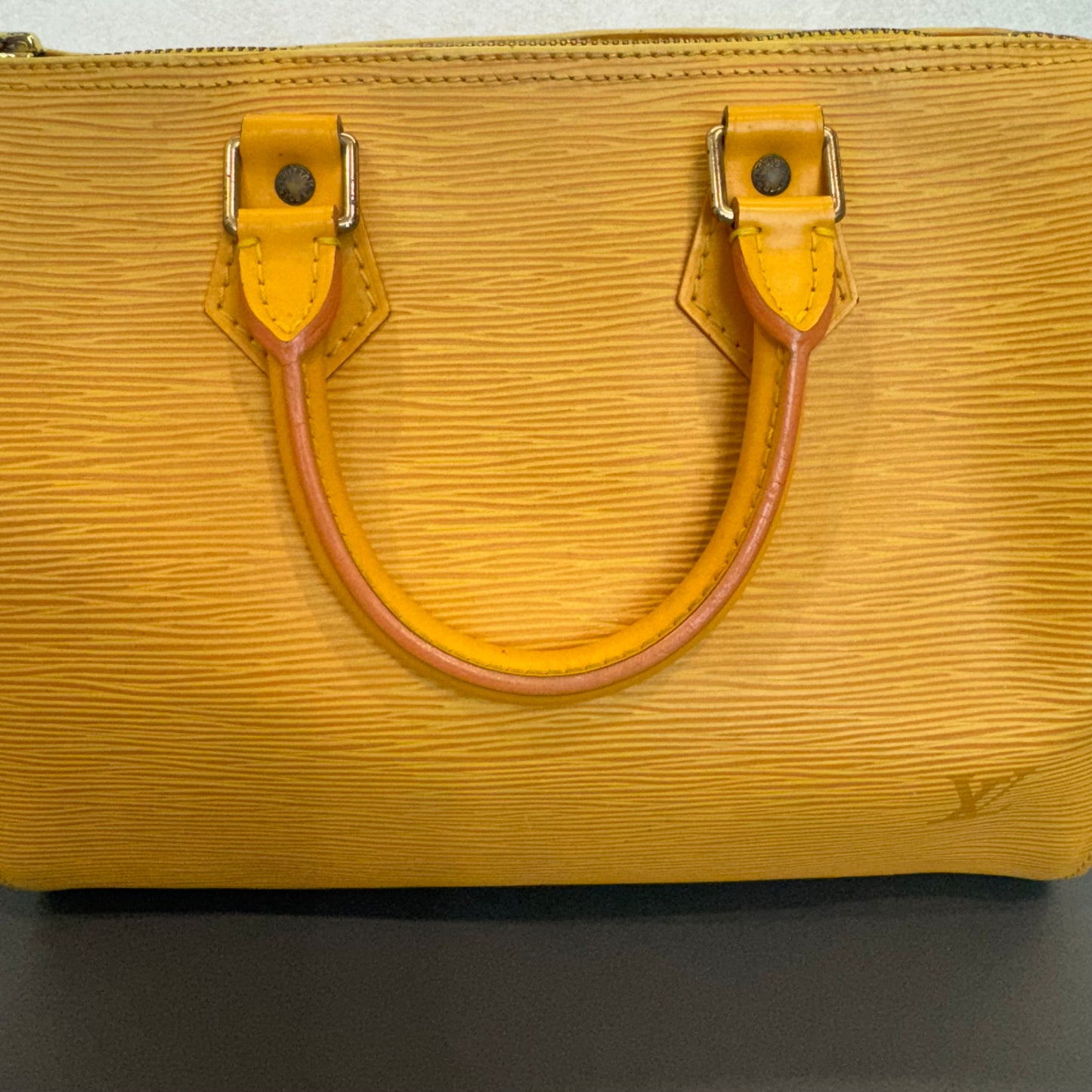 Louis Vuitton Speedy Épi