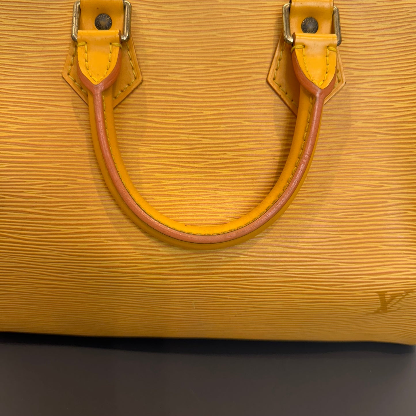 Louis Vuitton Speedy Épi