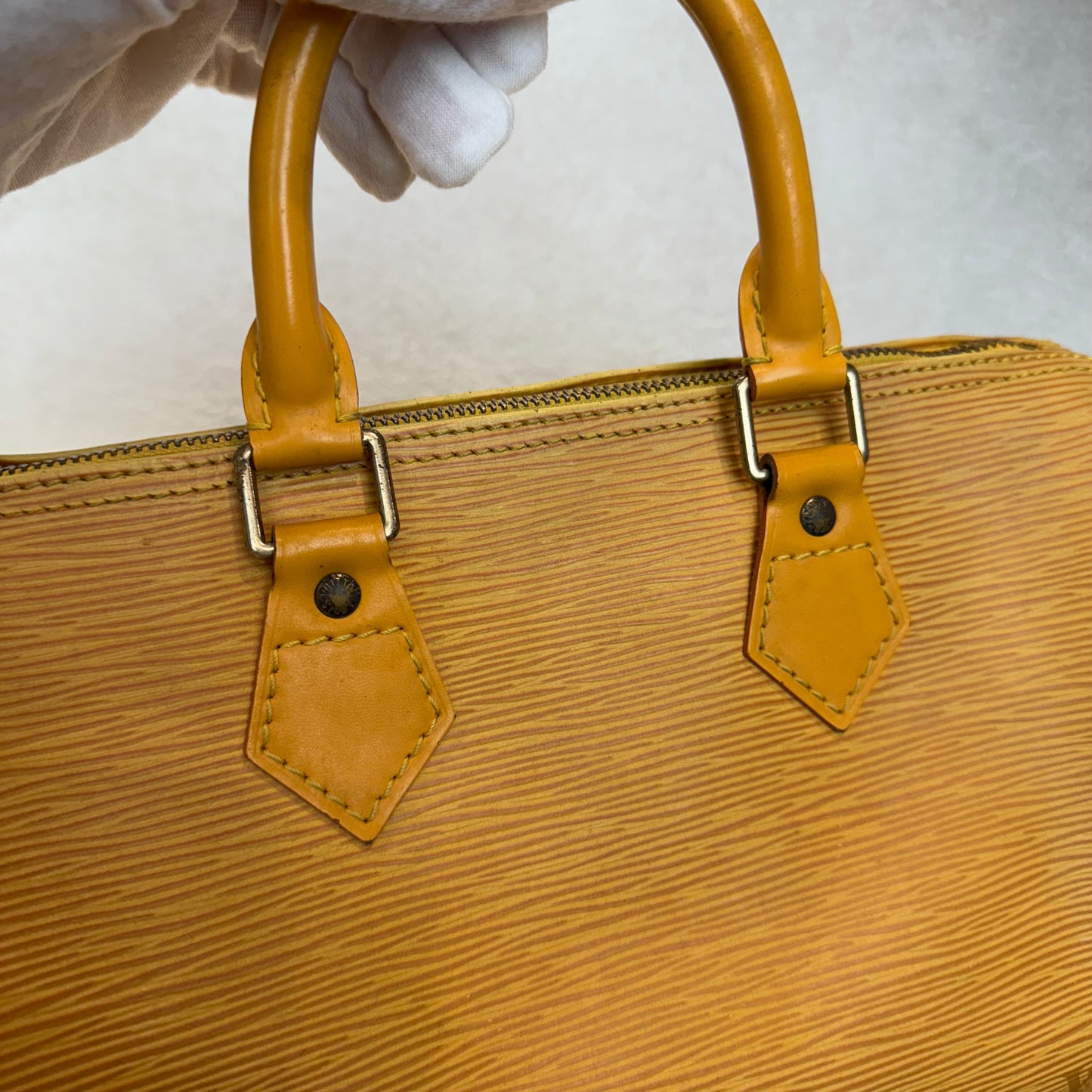 Louis Vuitton Speedy Épi