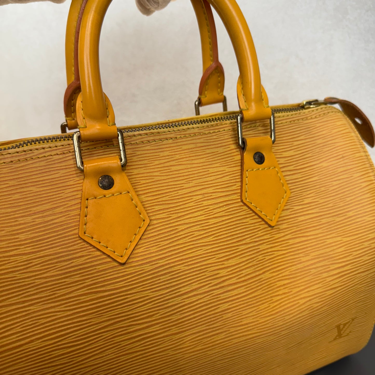 Louis Vuitton Speedy Épi