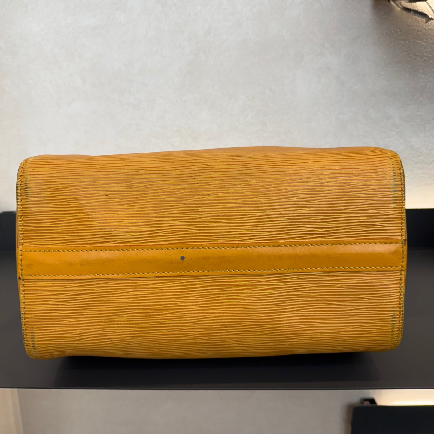 Louis Vuitton Speedy Épi