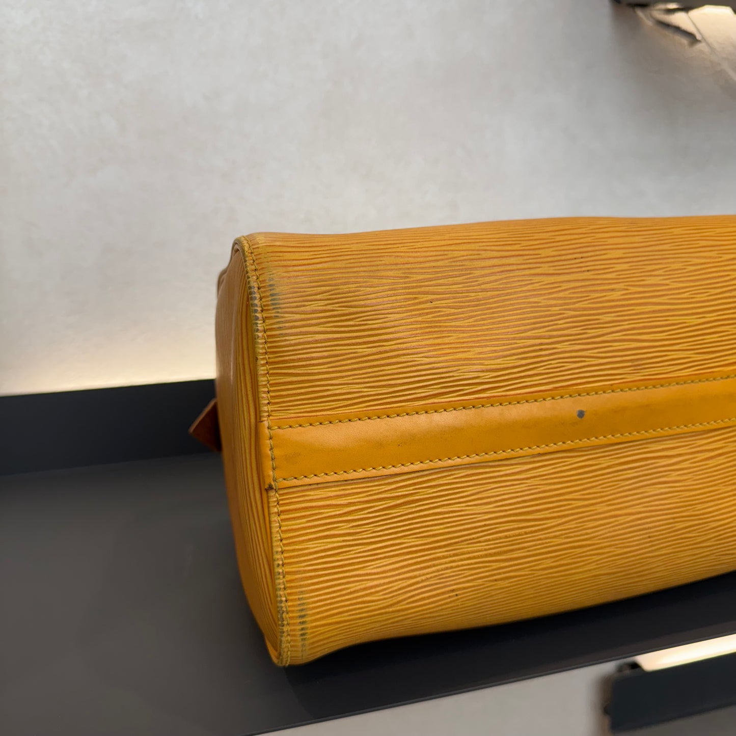 Louis Vuitton Speedy Épi